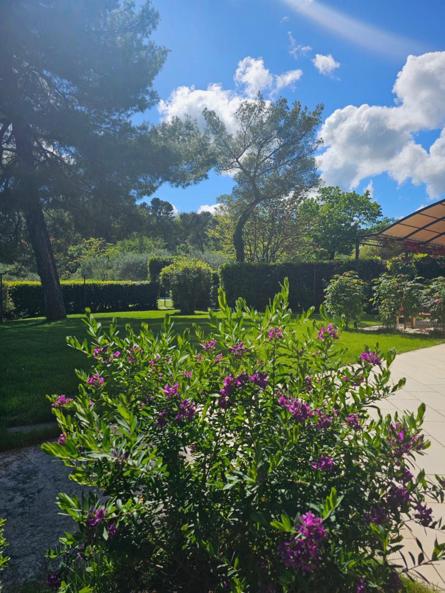 Villa Monacelli B&B Fano Exteriör bild